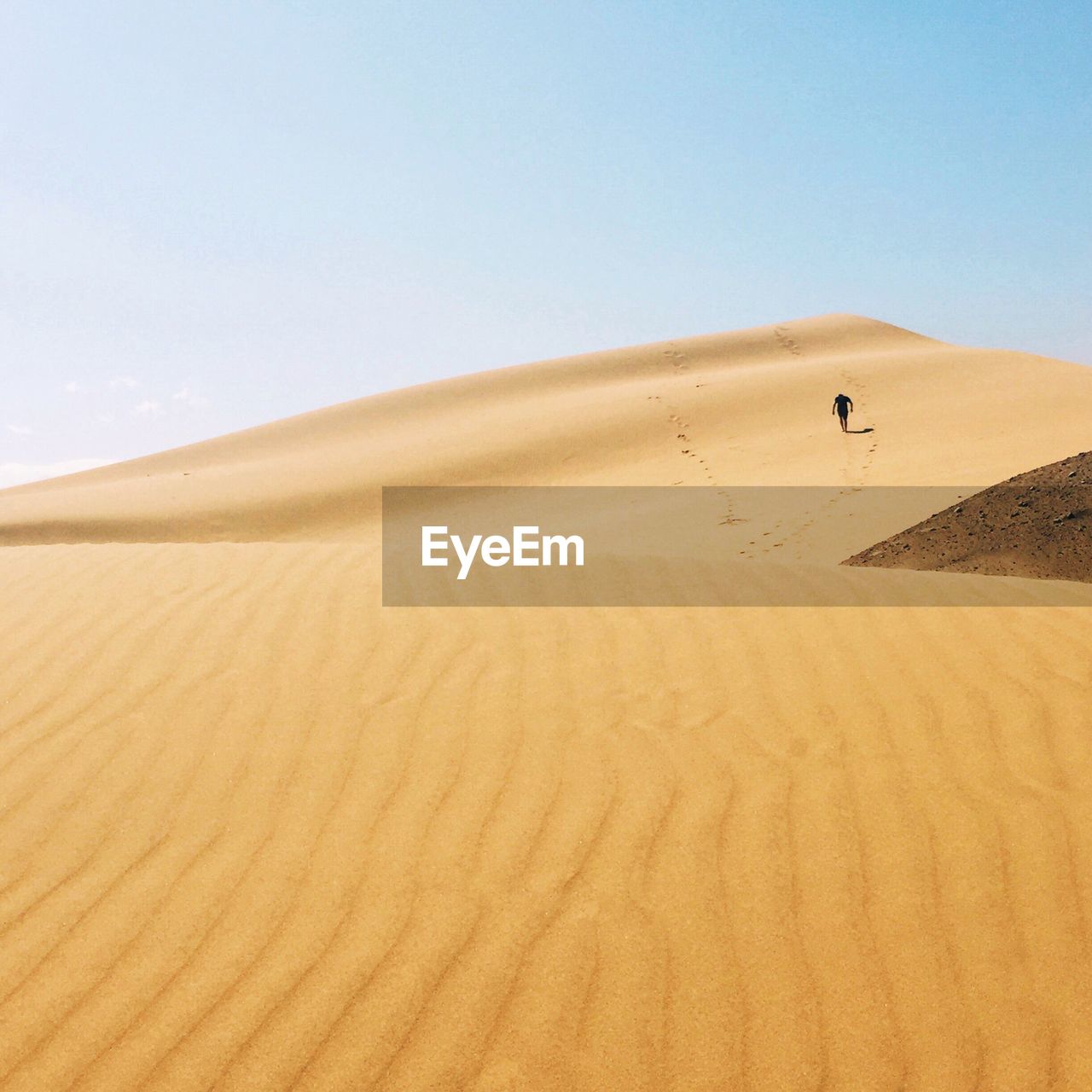 Rear view of person walking in desert