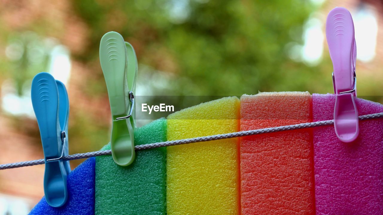 Close-up of multi colored sponge hanging on clothesline