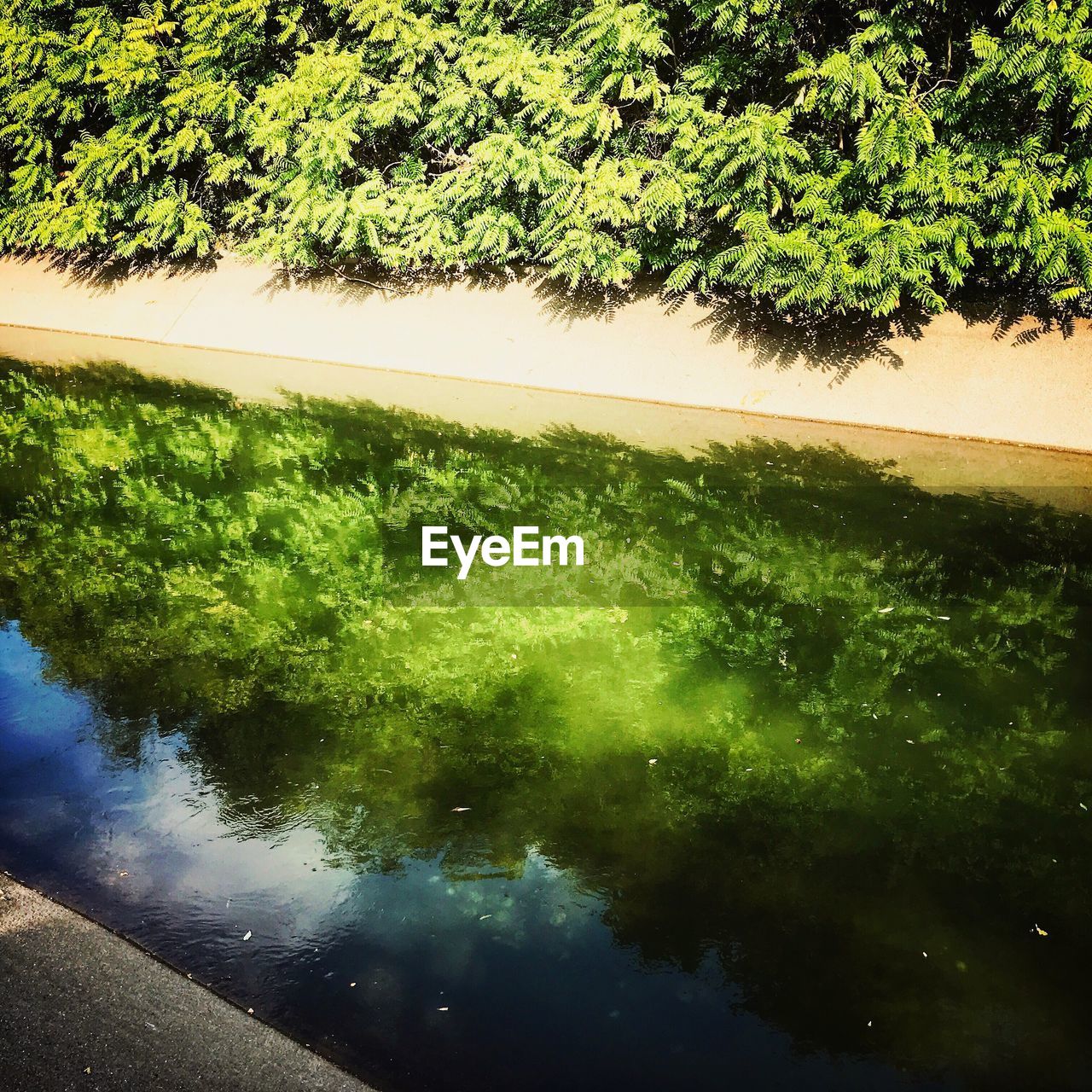 SCENIC VIEW OF LAKE WITH TREES REFLECTION