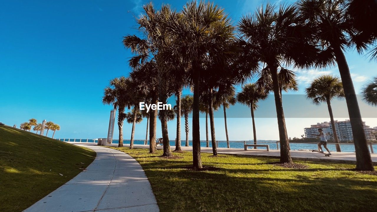 tree, sky, plant, water, palm tree, nature, tropical climate, sea, beach, land, beauty in nature, blue, scenics - nature, sunlight, tranquility, vacation, grass, walkway, tranquil scene, coast, horizon, clear sky, travel destinations, footpath, shadow, no people, day, outdoors, travel, shore, sunny, environment, landscape, transportation, idyllic, summer, holiday, trip, tree trunk, morning, ocean, tourism, trunk, cloud, horizon over water, road, city, coconut palm tree, sand, architecture