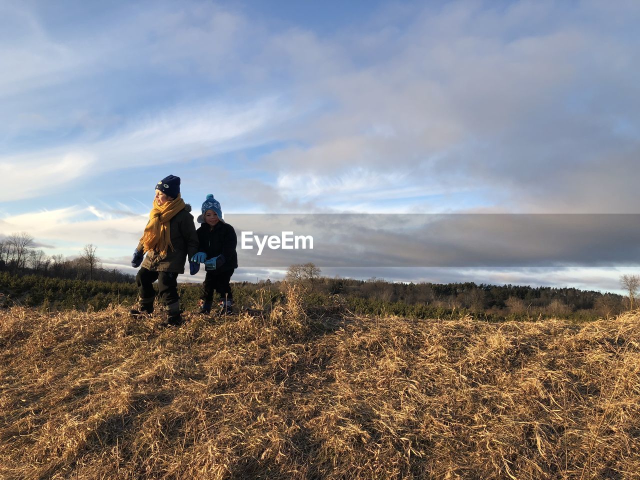 Two boys at sunset in a sunny field