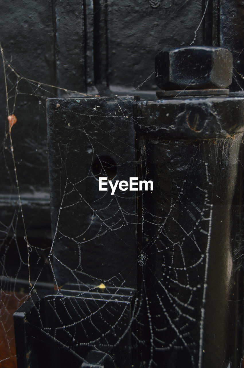 CLOSE-UP OF SPIDER WEB ON WOOD