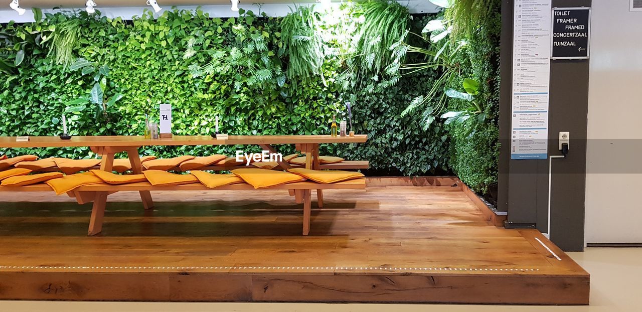EMPTY CHAIRS AND TABLE AGAINST PLANTS