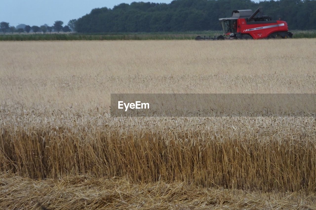 field, agriculture, farm, crop, agricultural machinery, growth, landscape, nature, day, rural scene, no people, combine harvester, outdoors, grass, beauty in nature