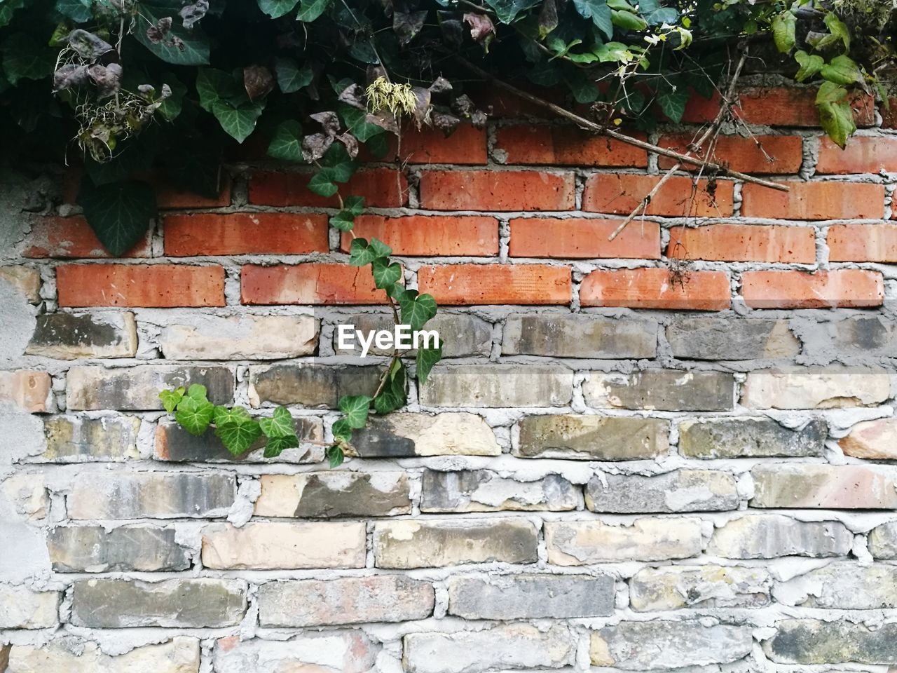 CLOSE-UP OF BRICK WALL