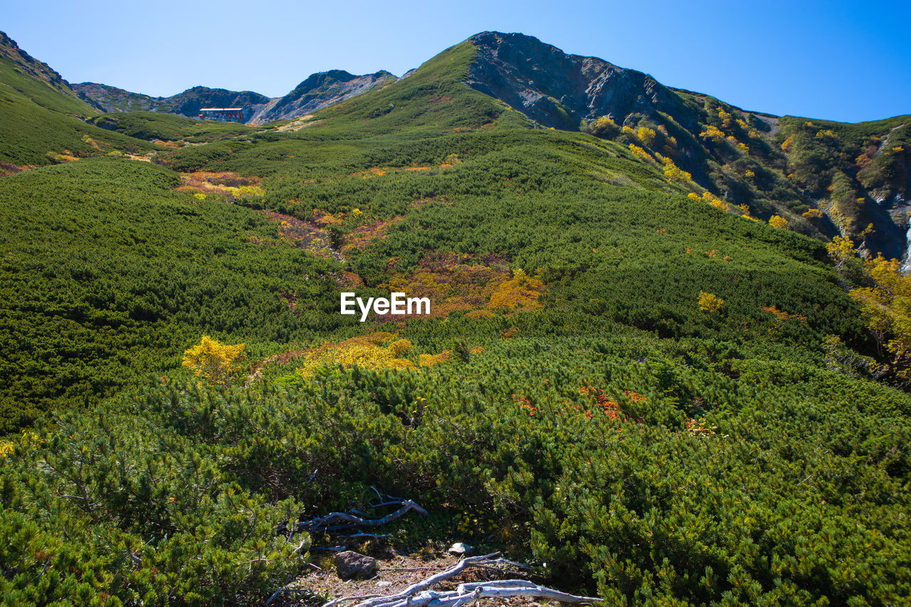 High angle view of trees and mountains against sky