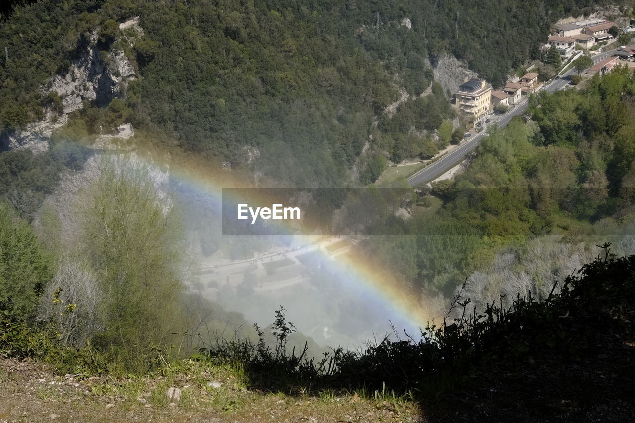 PANORAMIC VIEW OF RAINBOW OVER TREES AND PLANTS IN FOREST