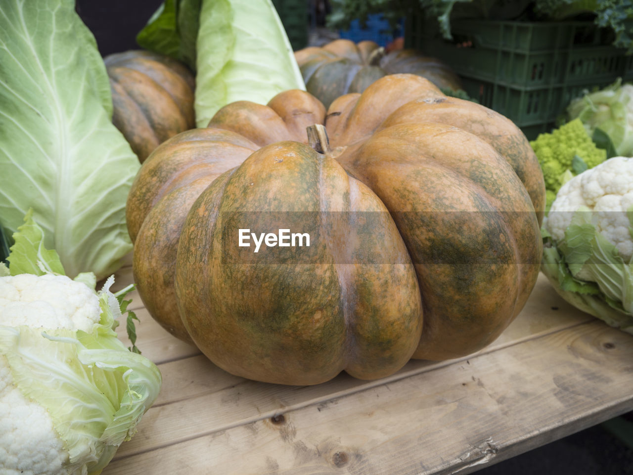 CLOSE-UP OF PUMPKIN PUMPKINS