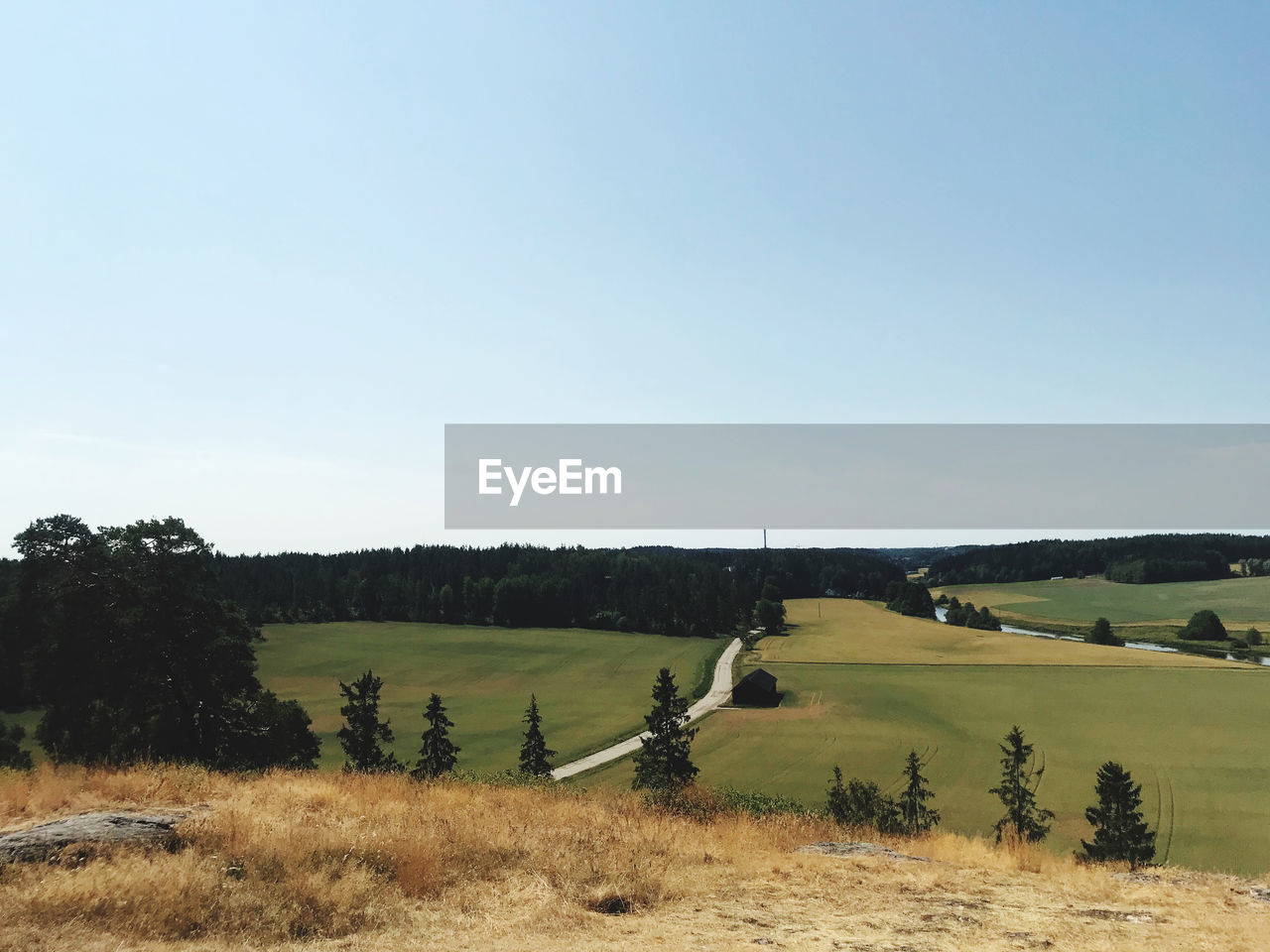 sky, landscape, environment, plant, hill, plain, nature, land, scenics - nature, grassland, prairie, grass, field, tranquility, rural area, tranquil scene, beauty in nature, tree, copy space, day, non-urban scene, clear sky, no people, natural environment, pasture, rural scene, steppe, outdoors, sunlight, blue, agriculture, green, plateau, remote, idyllic, sunny