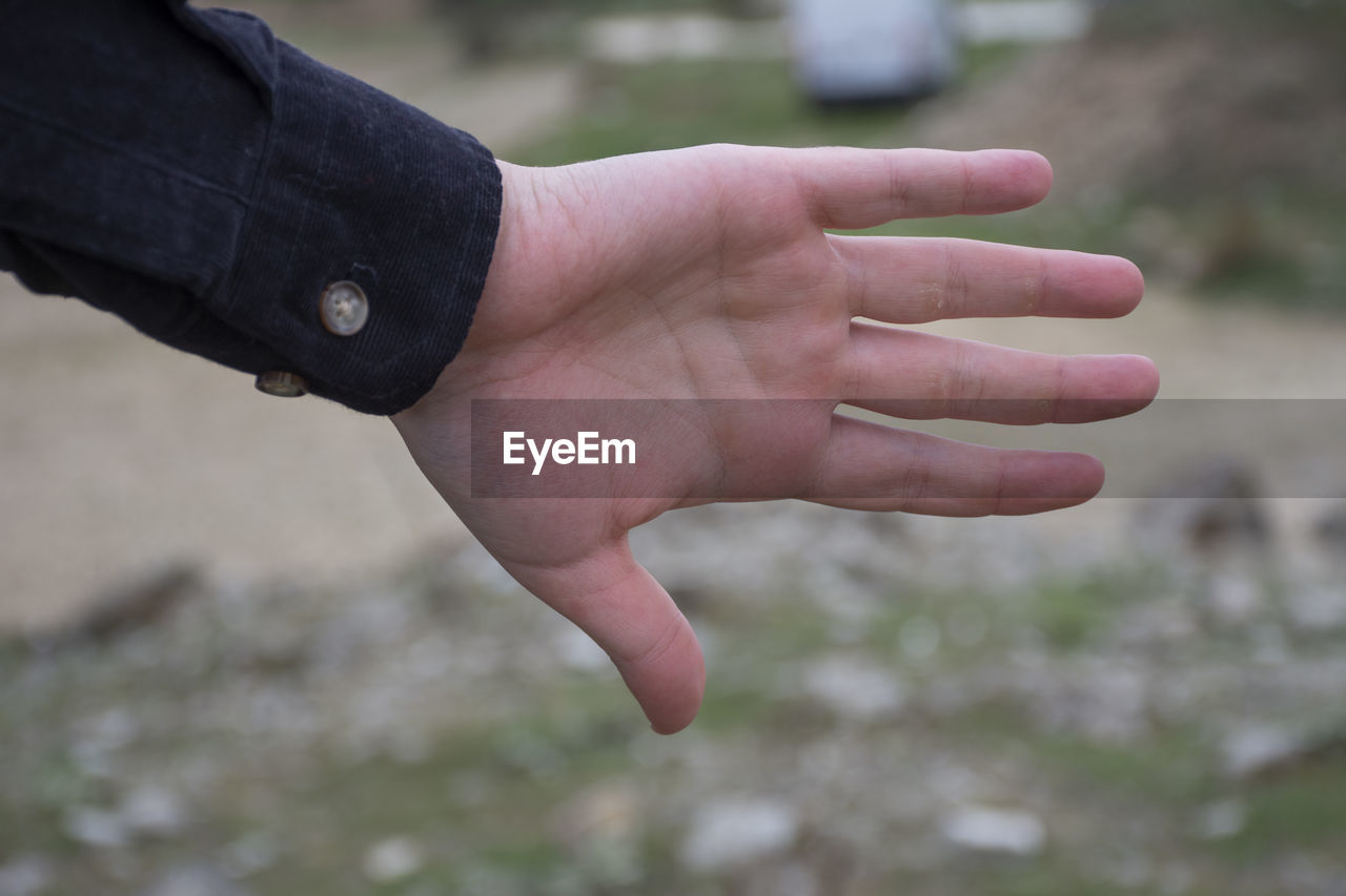 CLOSE-UP OF HAND HOLDING LEAF