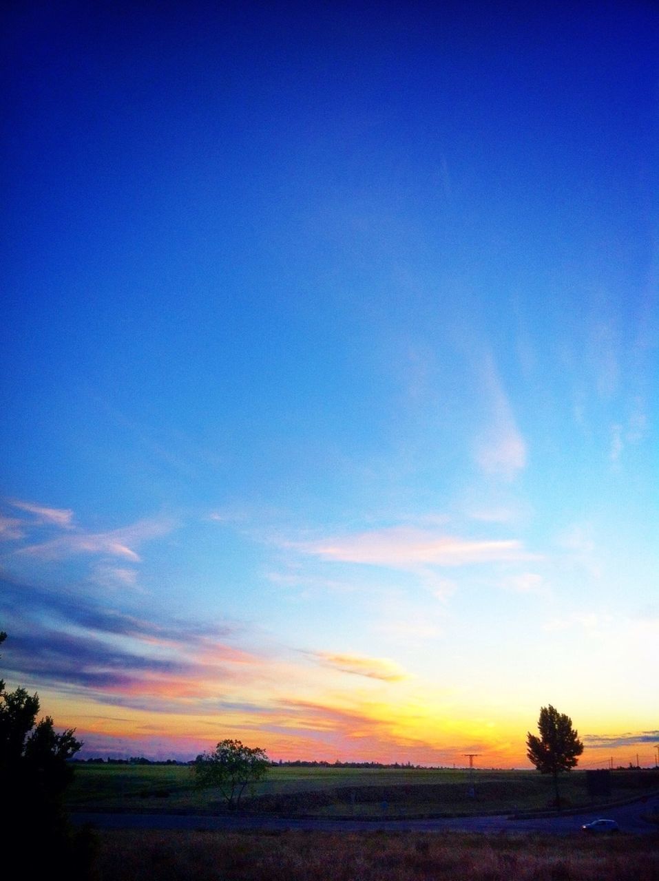 SCENIC VIEW OF LANDSCAPE AT SUNSET