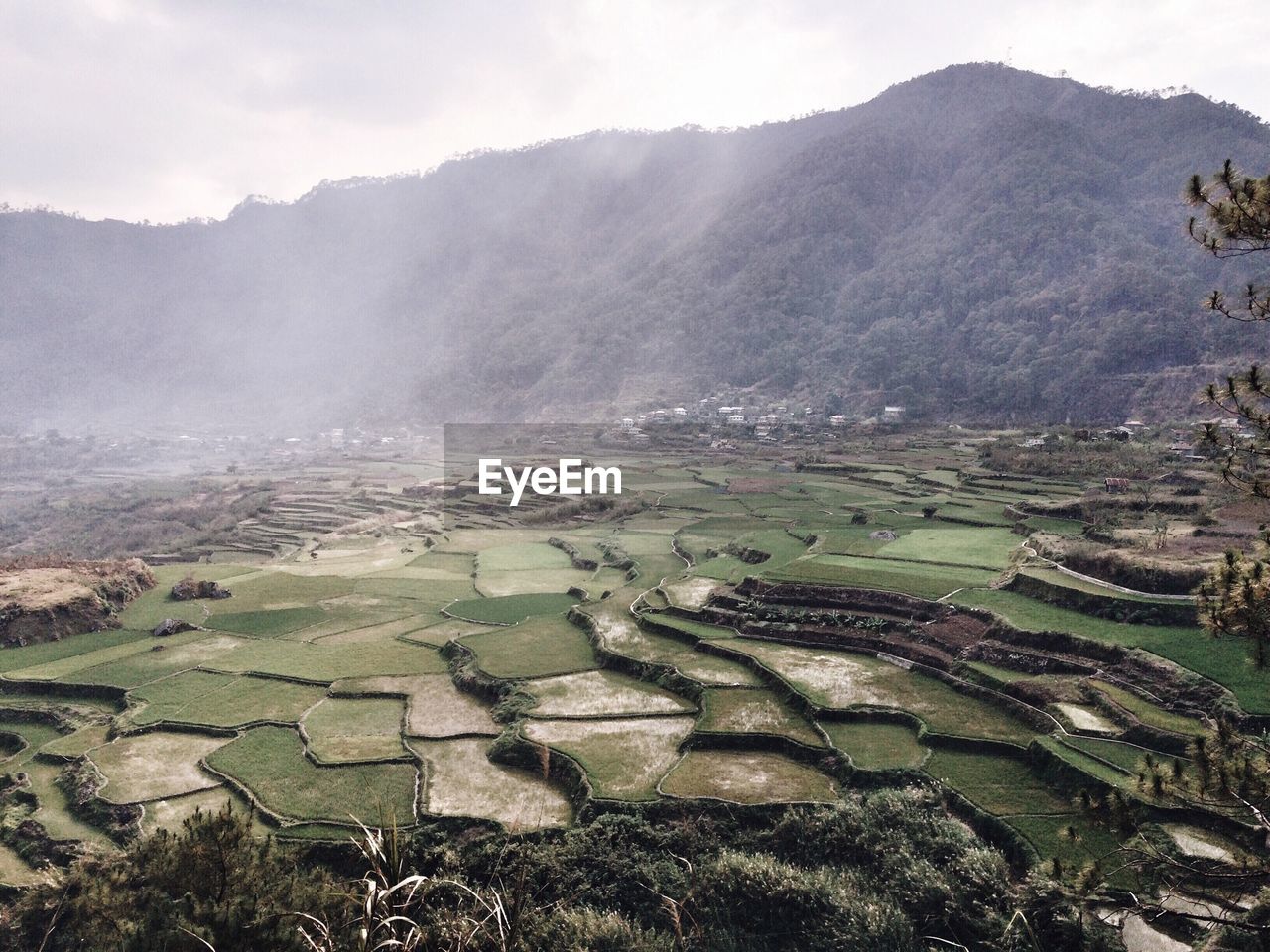 High angle view of farms against mountain