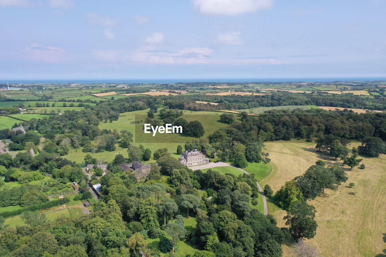 High angle view of trees on field against sky