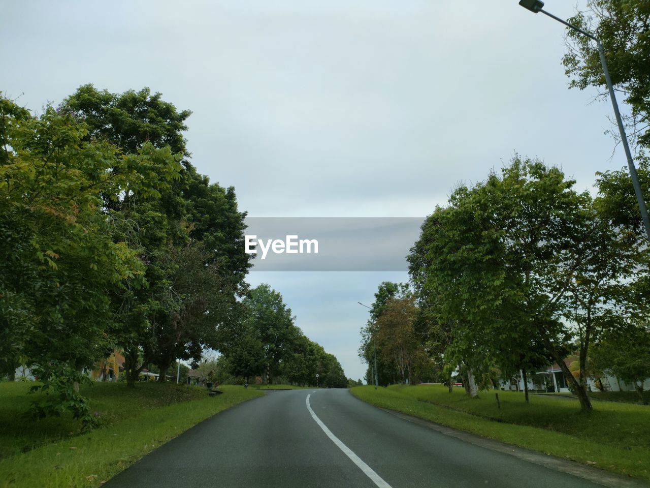 tree, plant, road, transportation, sky, green, nature, the way forward, cloud, rural area, diminishing perspective, no people, grass, infrastructure, vanishing point, street, environment, lane, day, leaf, city, beauty in nature, outdoors, landscape, symbol, highway, travel, sign, road marking, tranquility, scenics - nature, residential area, growth, land, road trip, marking, travel destinations, tranquil scene