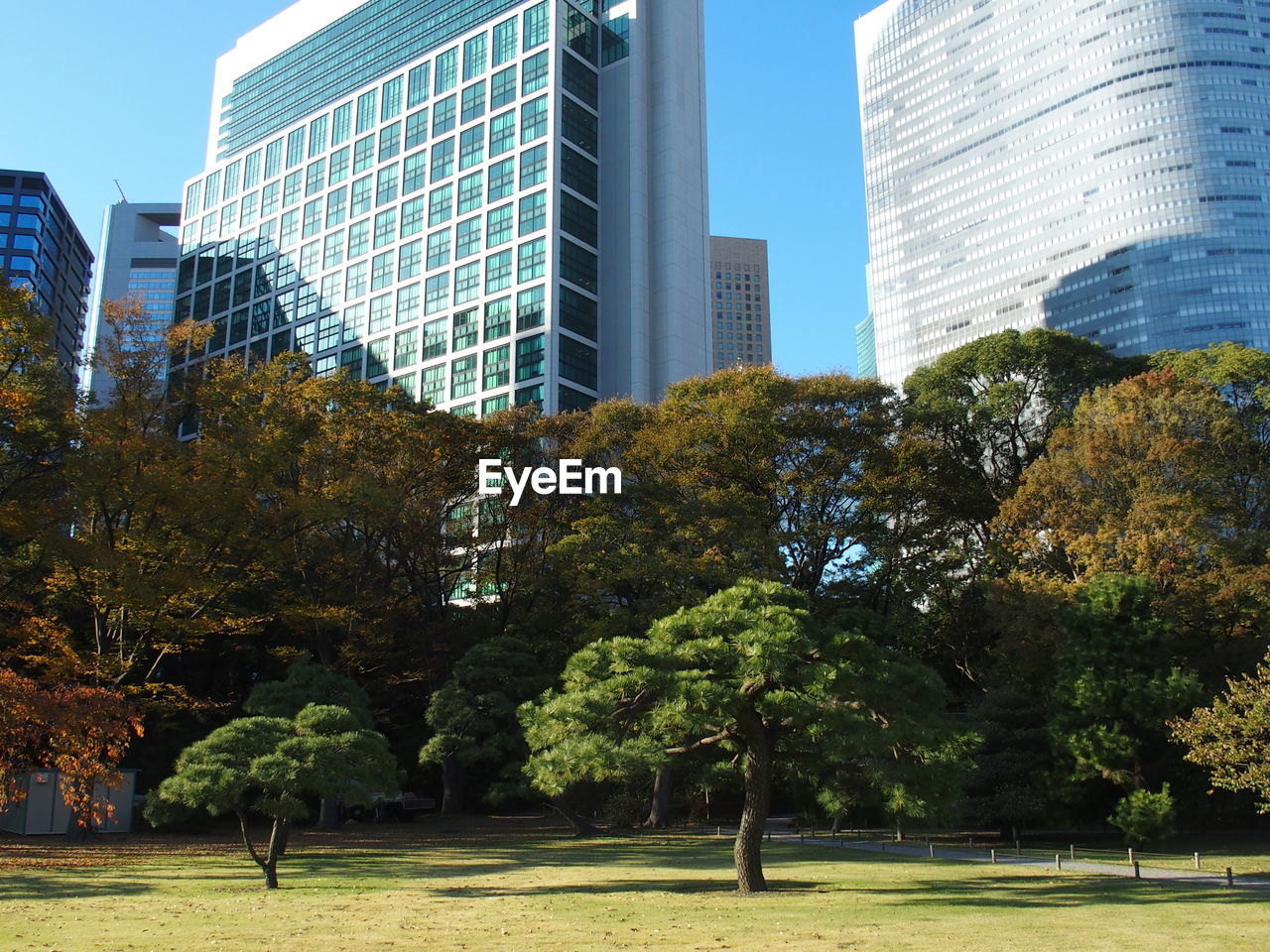 TREES BY MODERN BUILDINGS AGAINST SKY