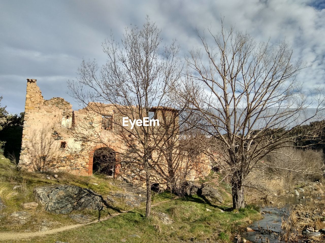 BARE TREES BY BUILDING AGAINST SKY