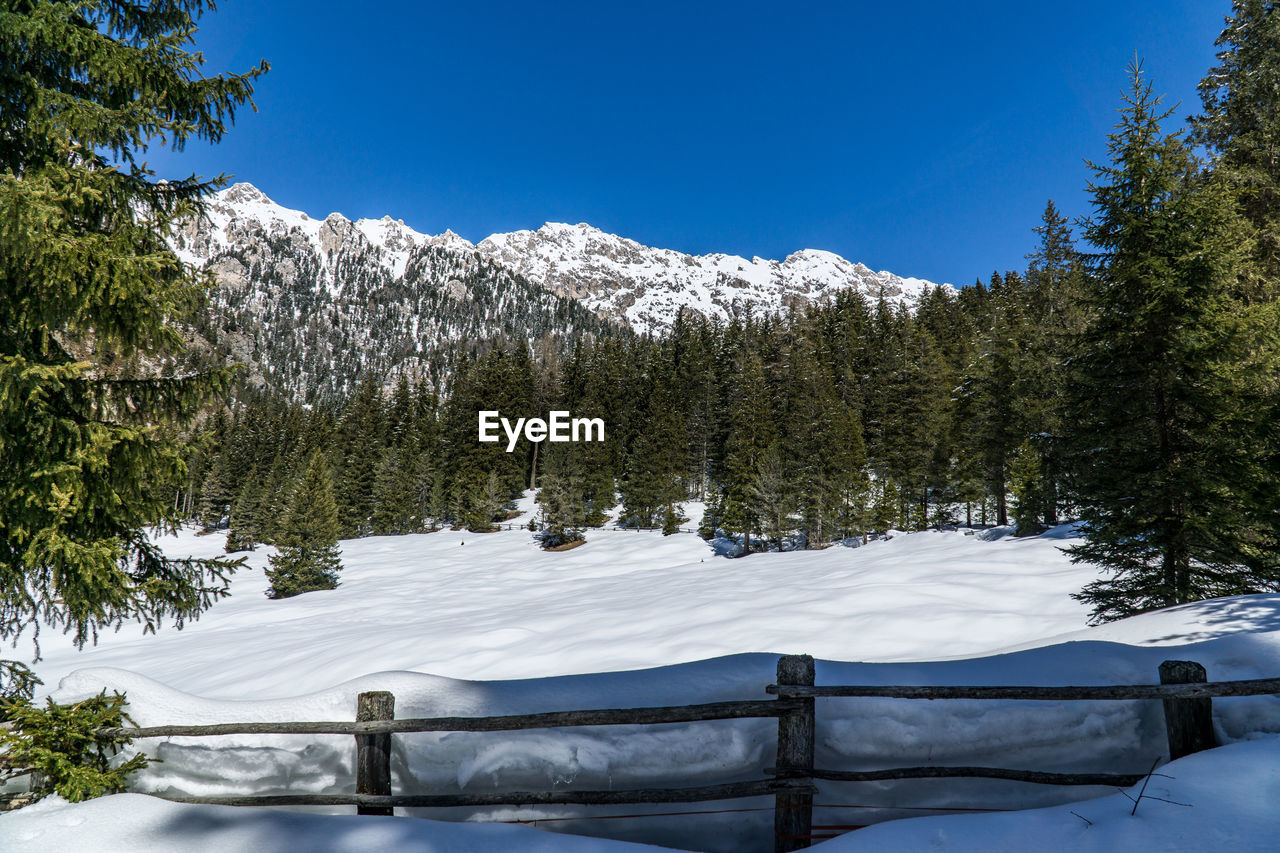 Snow covered field by trees against sky