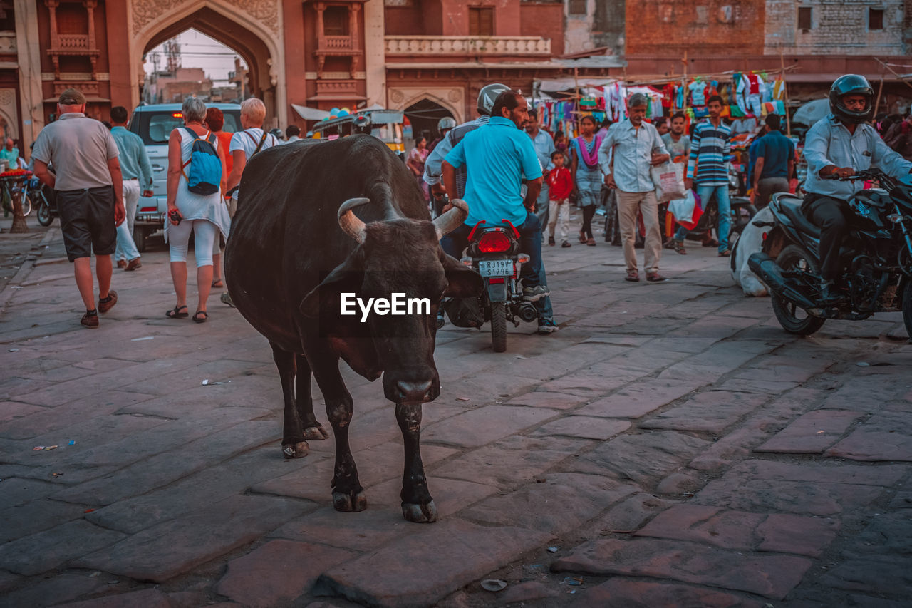 PEOPLE ON STREET IN CITY