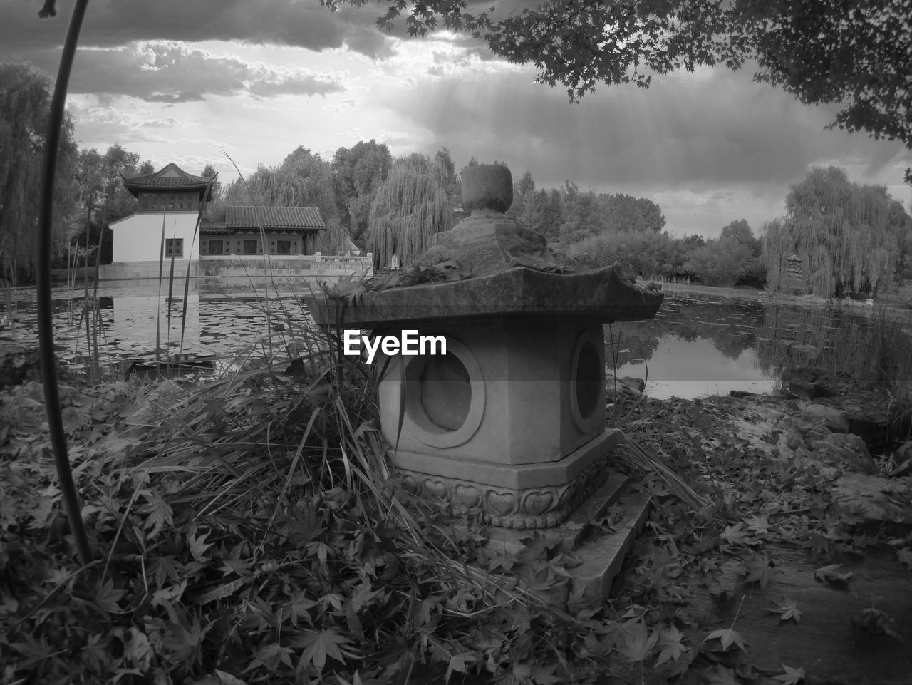 black and white, plant, monochrome, monochrome photography, nature, tree, cloud, sky, water, architecture, no people, rural area, land, landscape, environment, outdoors, built structure, darkness, day