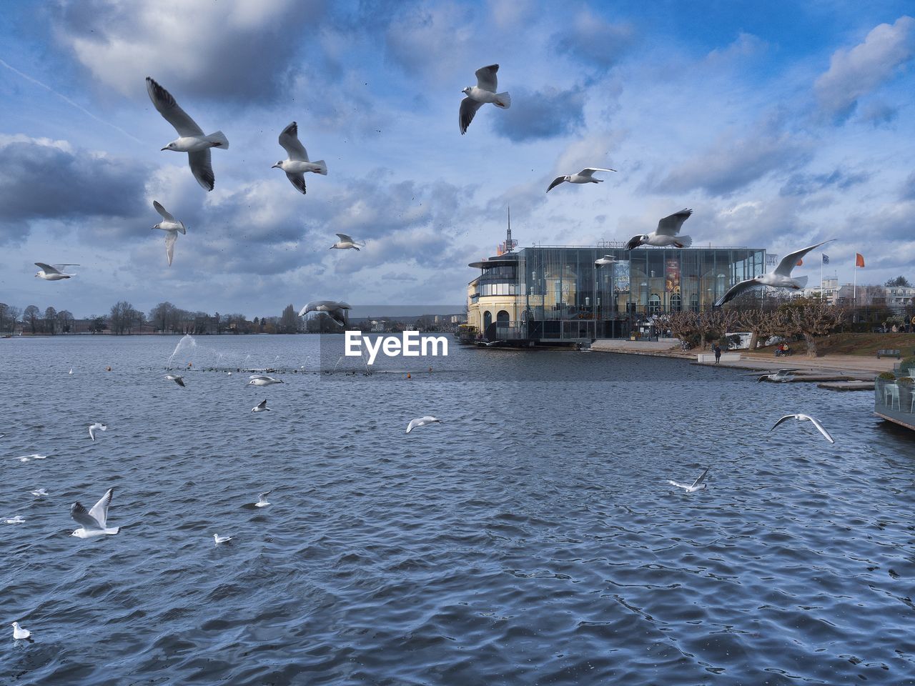 water, bird, wildlife, sea, animal themes, animal wildlife, animal, flying, group of animals, sky, cloud, nature, seagull, large group of animals, coast, architecture, gull, ocean, no people, flock of birds, seabird, nautical vessel, building exterior, day, shore, transportation, built structure, spread wings, travel destinations, outdoors, mid-air, beauty in nature, city, ship, waterfront, blue, motion, travel