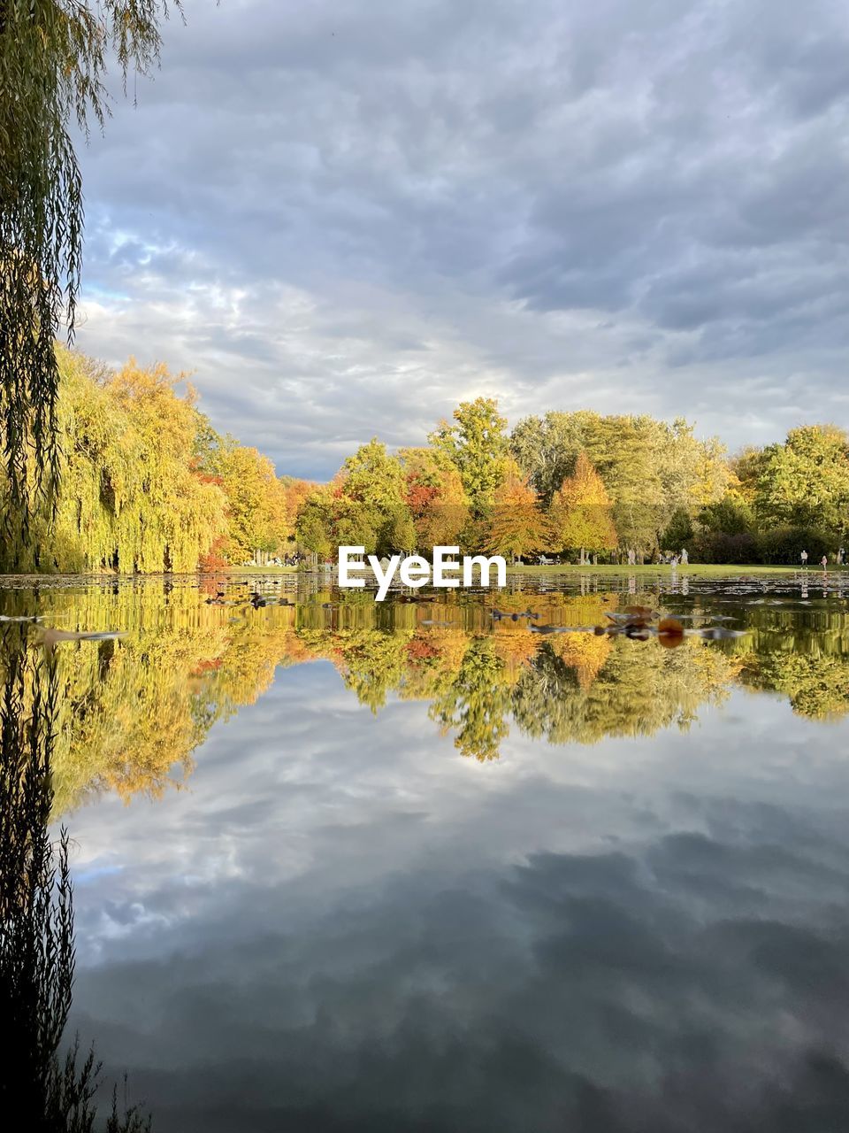 reflection, water, nature, tree, lake, sky, cloud, plant, beauty in nature, autumn, tranquility, scenics - nature, tranquil scene, leaf, no people, landscape, environment, outdoors, morning, non-urban scene, day, idyllic, forest, travel destinations, reflection lake, sunlight, standing water, body of water, land