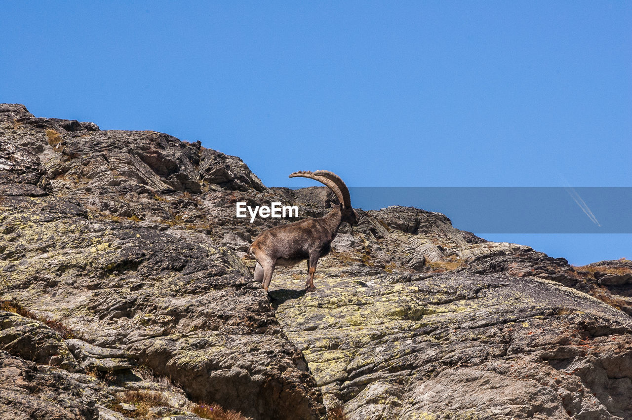 LOW ANGLE VIEW OF A ROCK ON MOUNTAIN AGAINST SKY