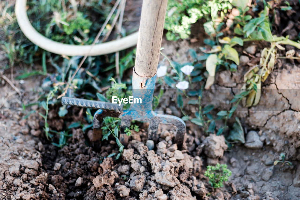 Gardening fork stuck in soil