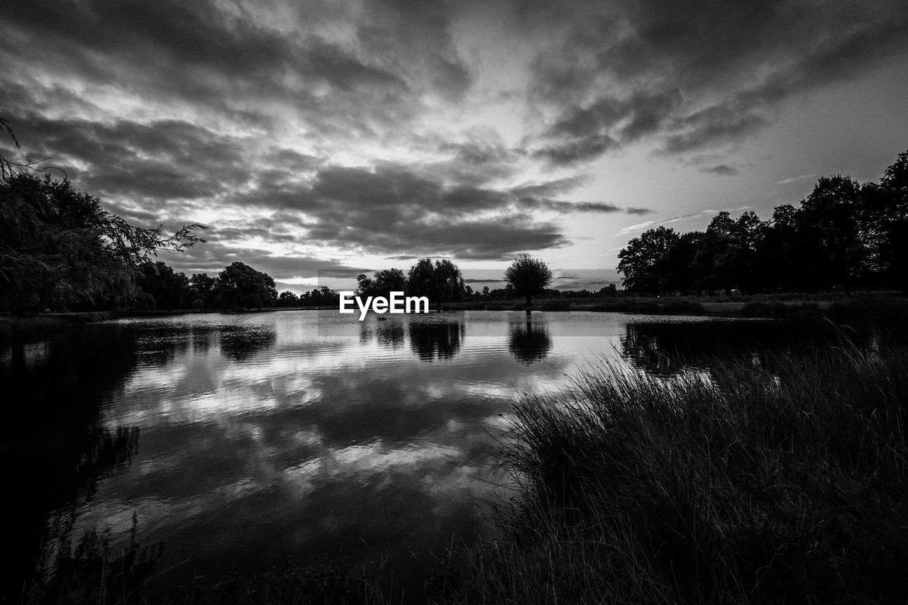 SILHOUETTE OF TREES AND CALM LAKE