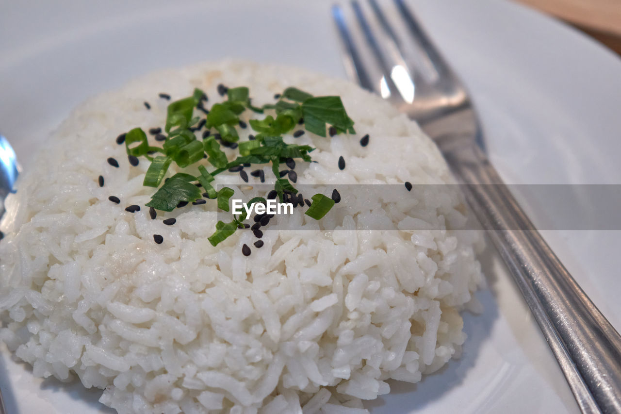 Rice serving on the white plate