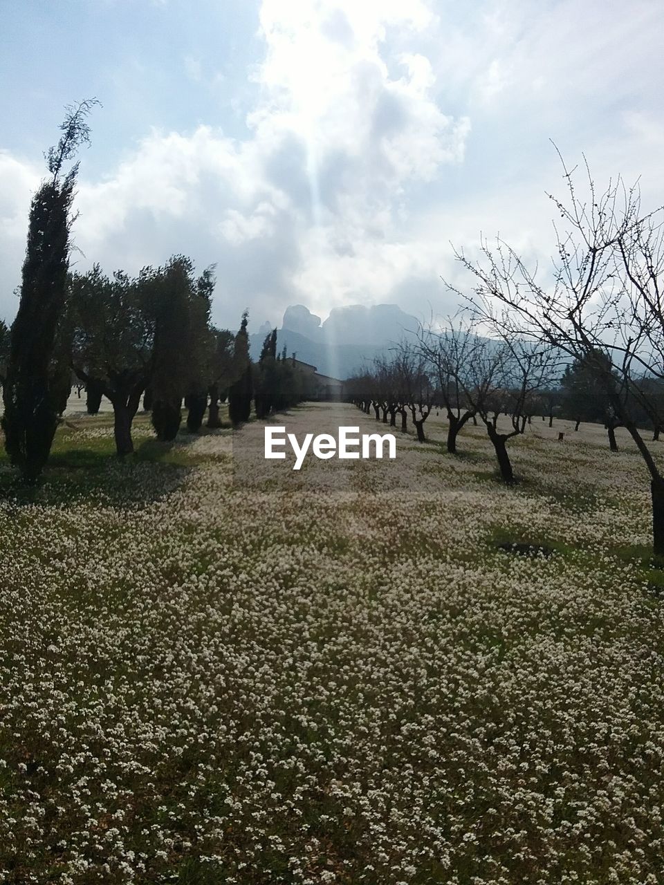 VIEW OF LANDSCAPE AGAINST SKY