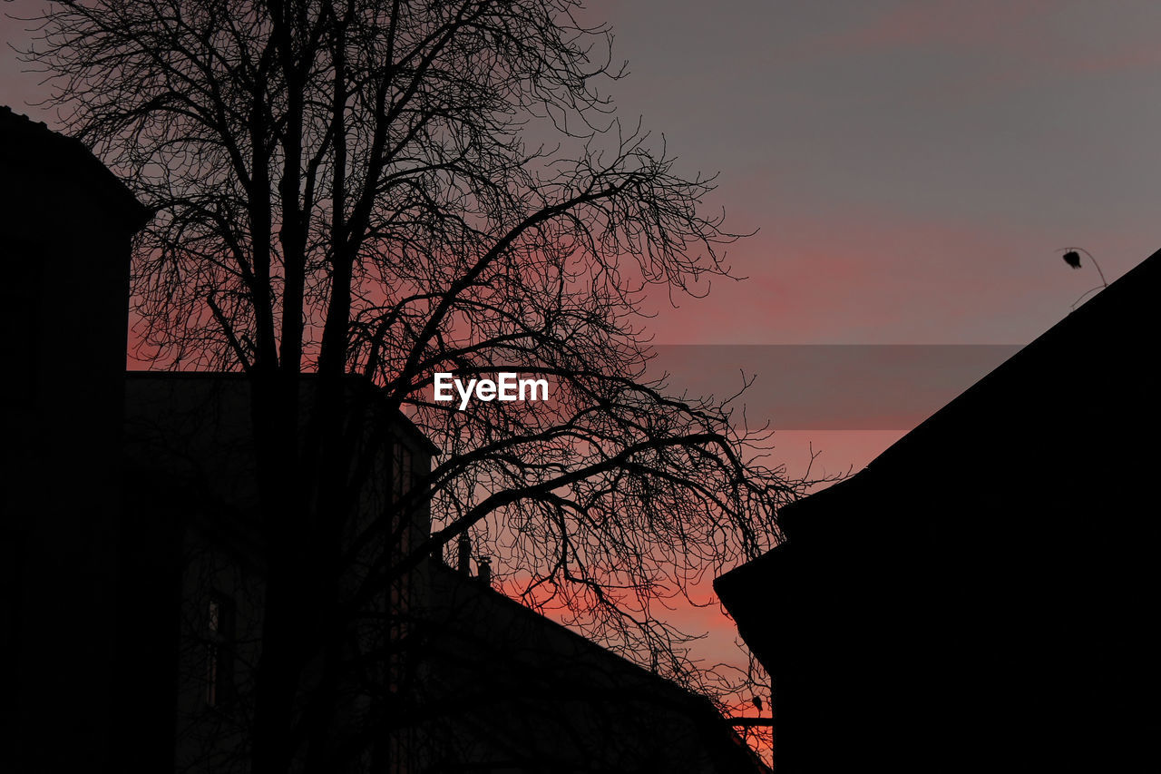 Low angle view of silhouette tree against sky