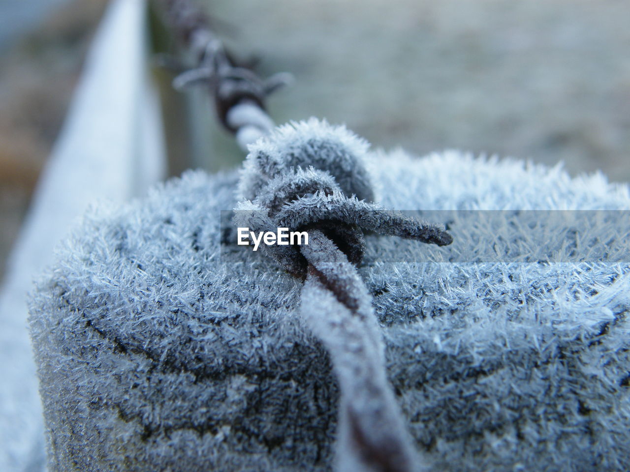 CLOSE-UP OF FROZEN OUTDOORS