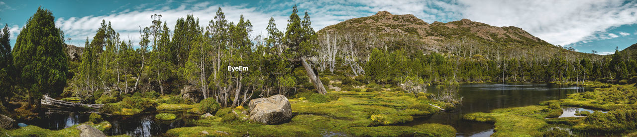 Panoramic view of lake and trees against sky