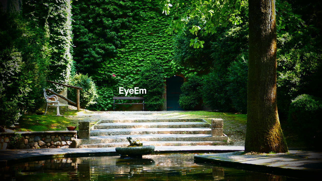 FOUNTAIN BY TREES AGAINST SKY