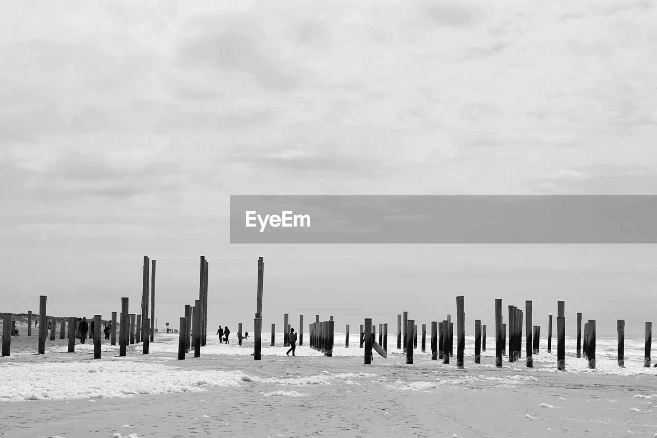 ROW OF WOODEN POSTS ON BEACH