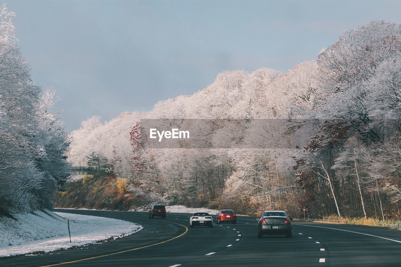 Vehicles on country road amidst white trees against sky