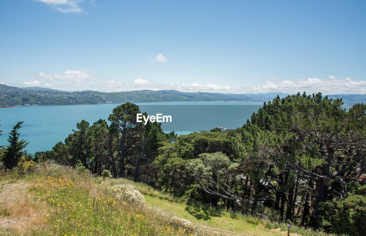 Scenic view of sea and trees against sky