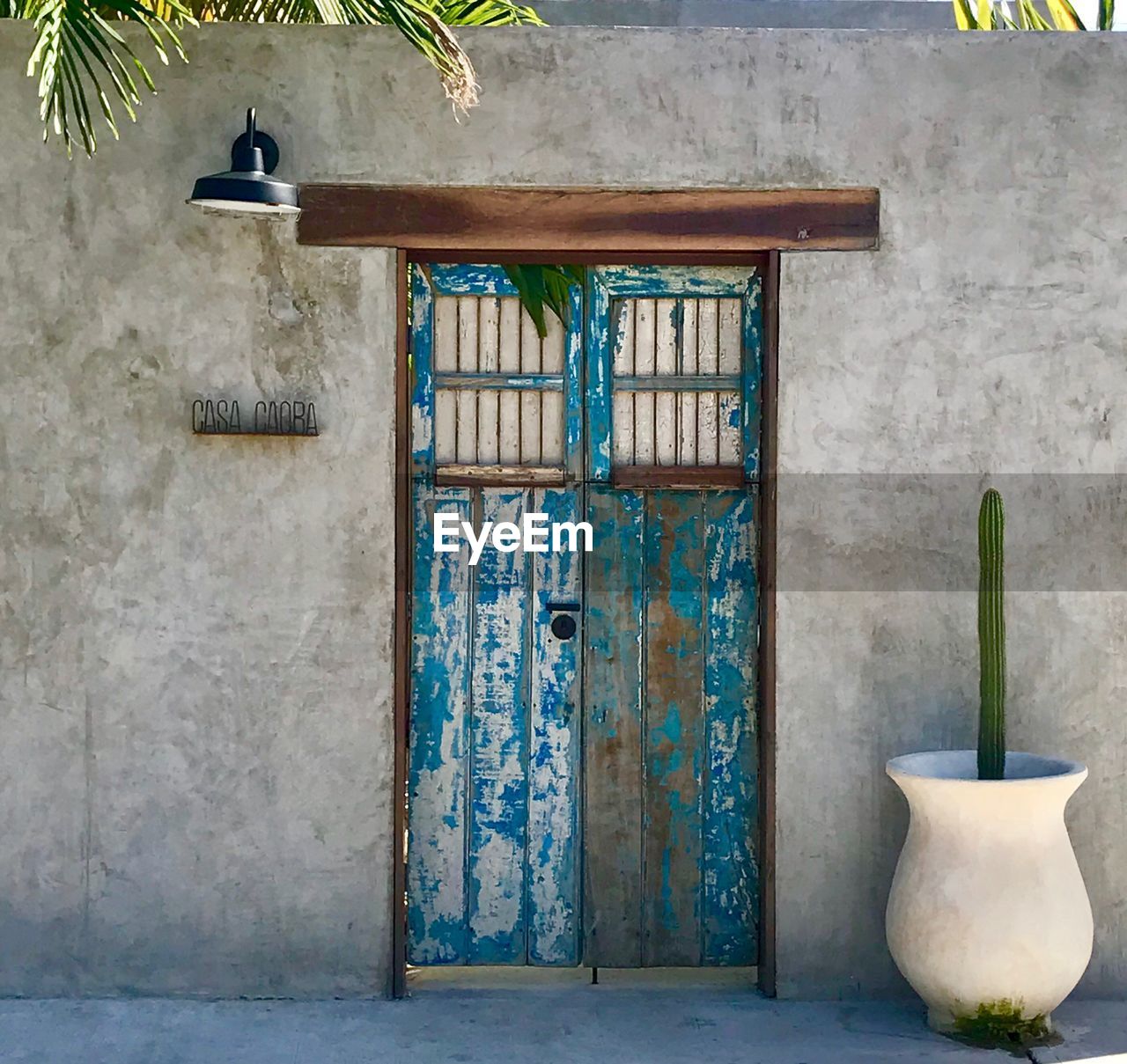 POTTED PLANTS OUTSIDE BUILDING