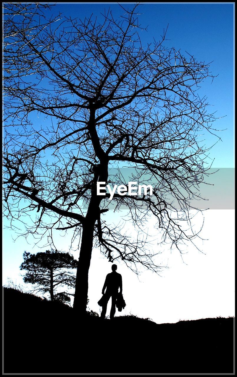 Silhouette man standing by bare tree against clear blue sky