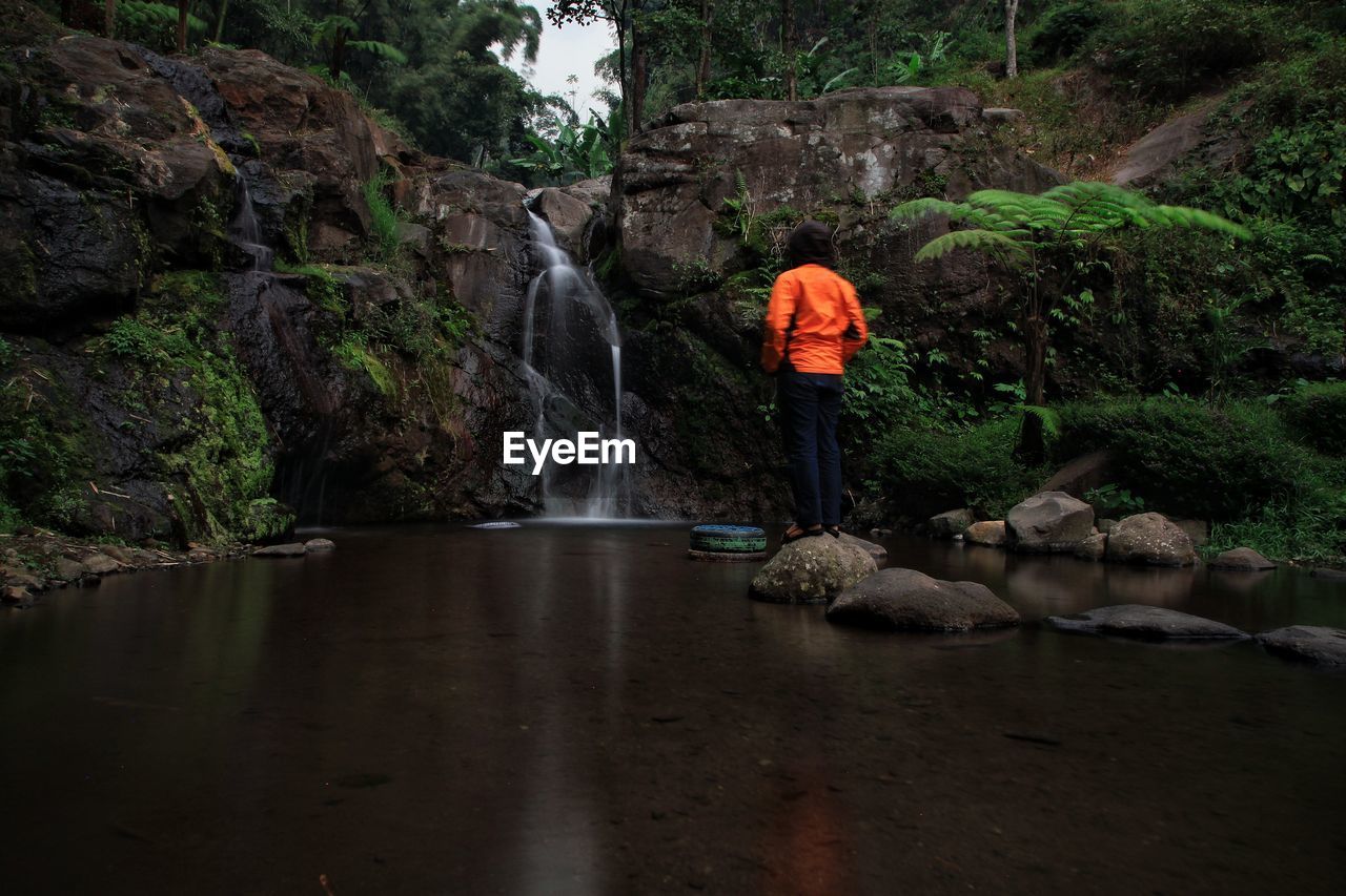 Rear view of man standing on rock against waterfall