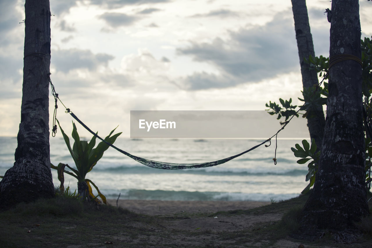 Hammock hanging on trees at beach against sky