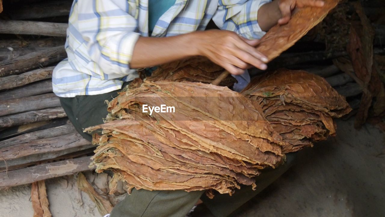 Midsection of man sitting with dry leaves on logs