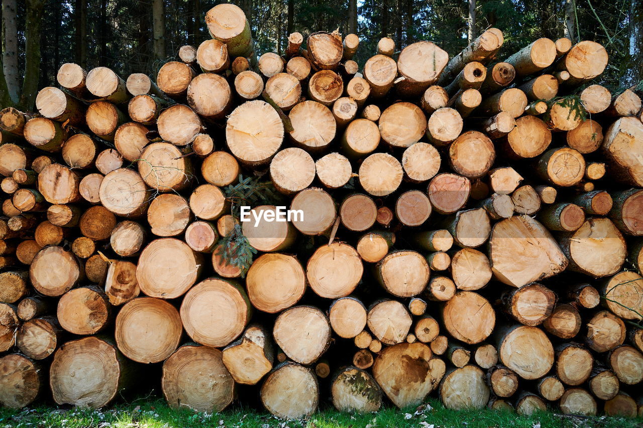 FULL FRAME SHOT OF LOGS