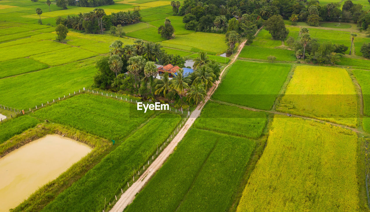 HIGH ANGLE VIEW OF GREEN FARM