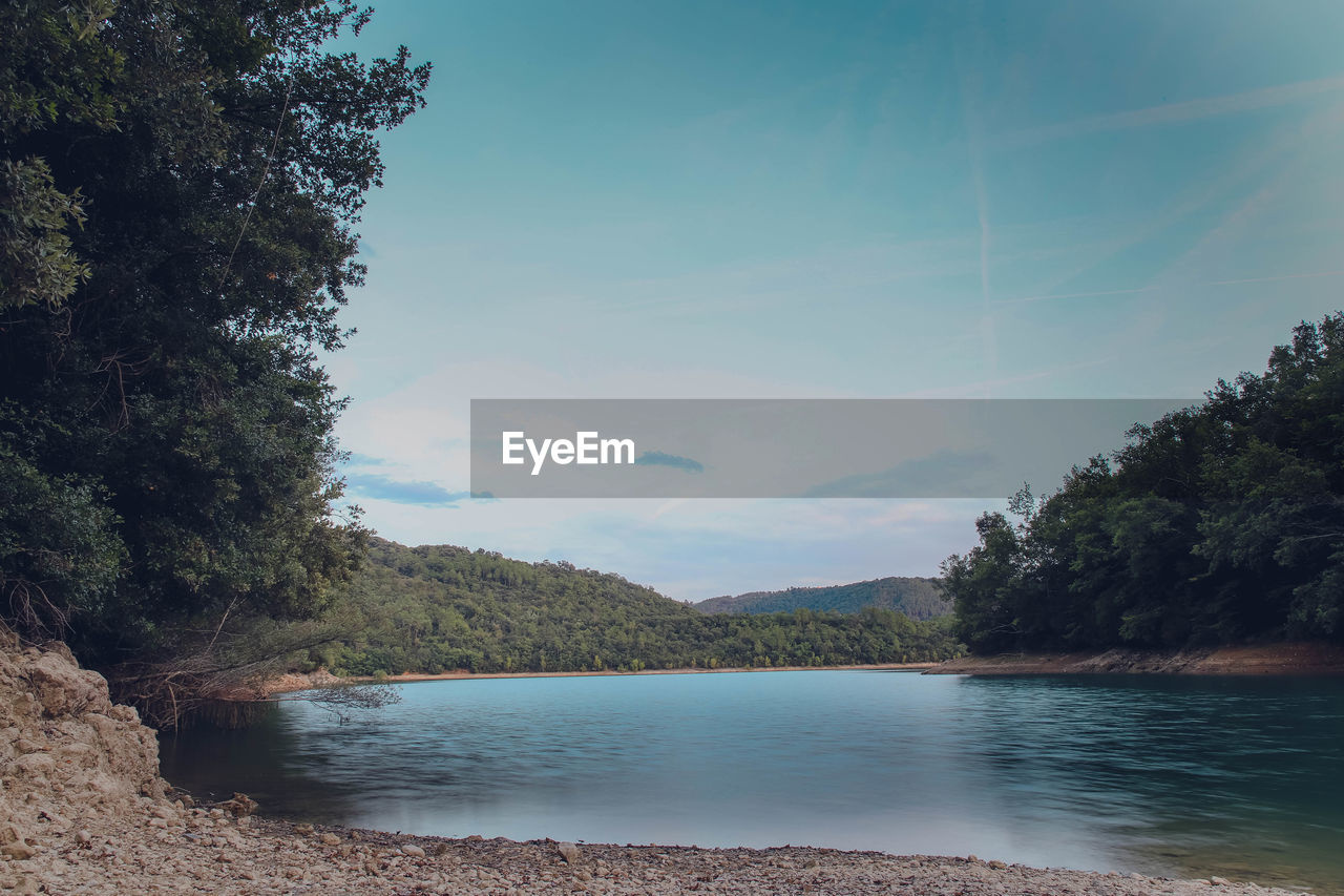 SCENIC VIEW OF LAKE BY TREE AGAINST SKY