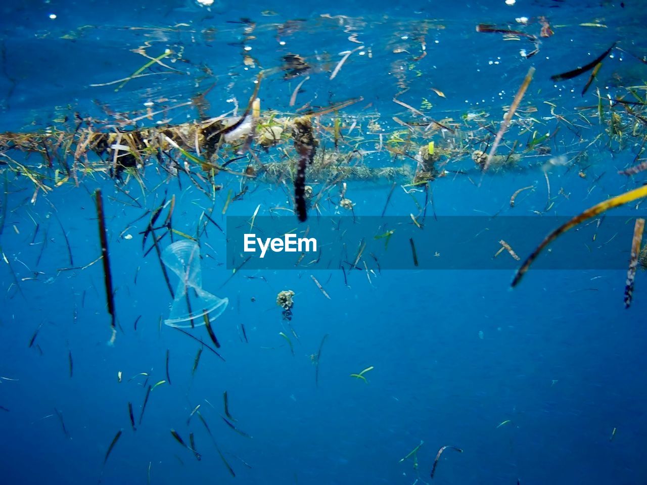 Plastic pollution/garbage in the ocean near marsa alam, egypt