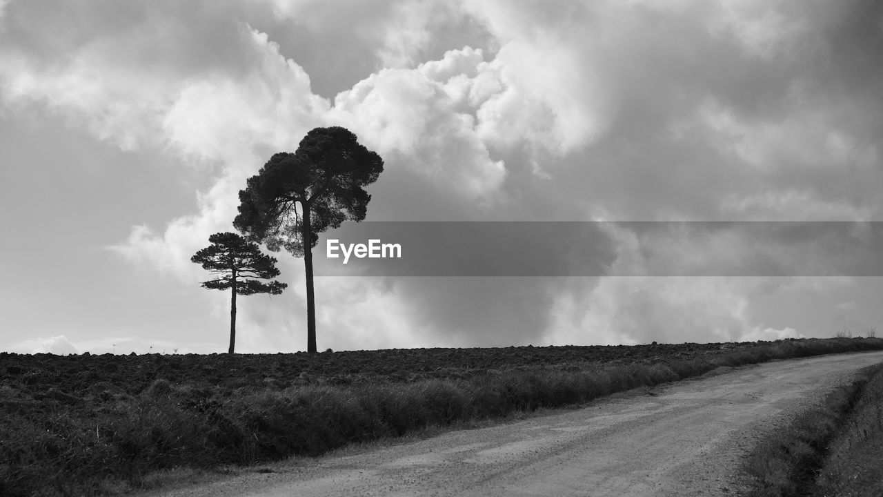 Pathway and grass field against sky