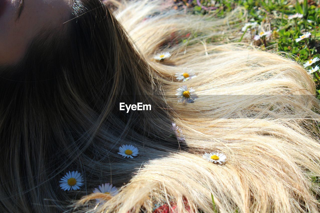 Close-up of hair with flowers