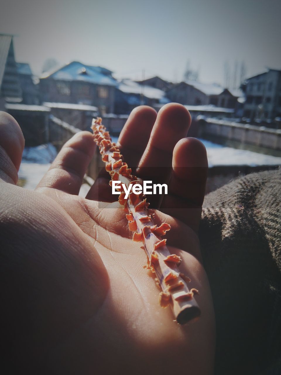 Cropped hand holding carved stick against houses in city during winter