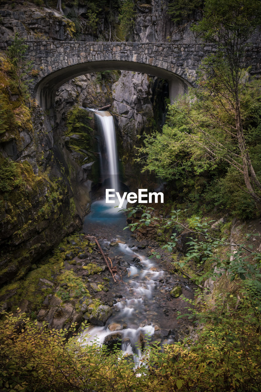 Scenic view of waterfall in forest